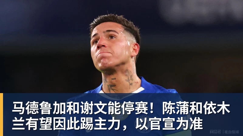 马德鲁加和谢文能停赛！陈蒲和依木兰有望因此踢主力，以官宣为准