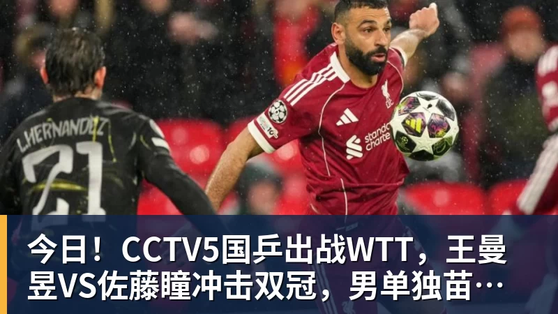 今日！CCTV5国乒出战WTT，王曼昱VS佐藤瞳冲击双冠，男单独苗周启豪PK松岛辉空